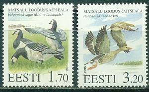 Эстония, 1995, Птицы, 2 марки